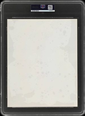 1990s Game Portrait back