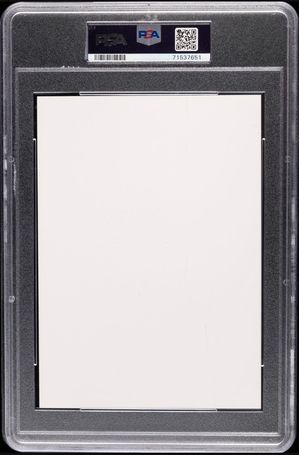 Sky Jordan #1002 Nike poster card back