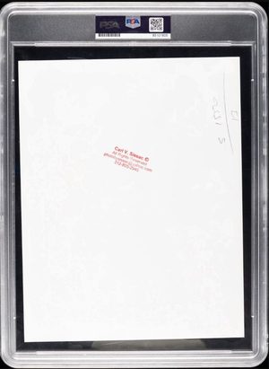1984–85 Empty Arena Rookie back